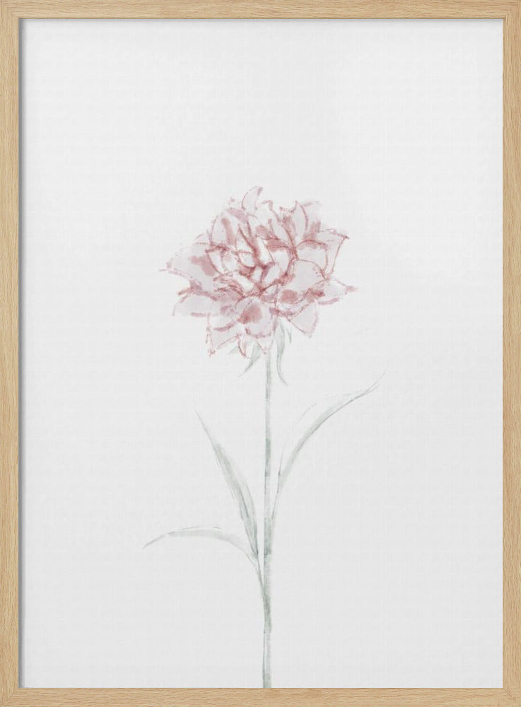 Peony 02 | Poster