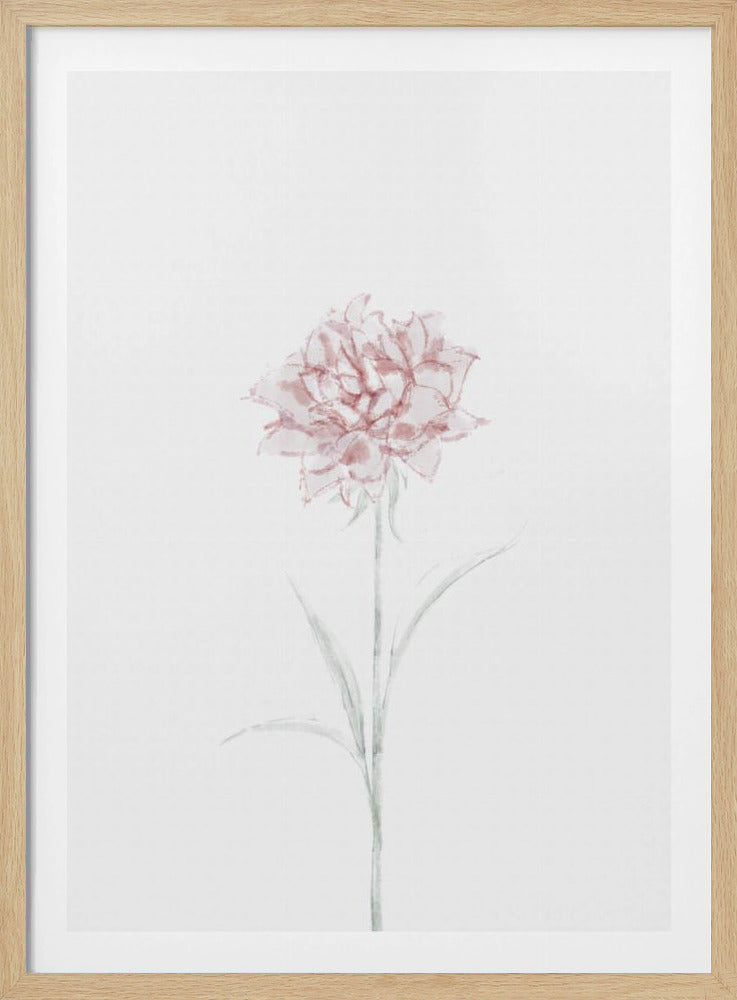 Peony 02 | Poster
