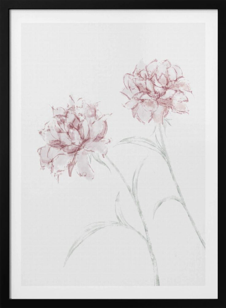 Peony 03 | Poster