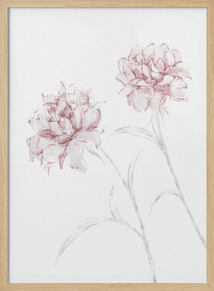 Peony 03 | Poster