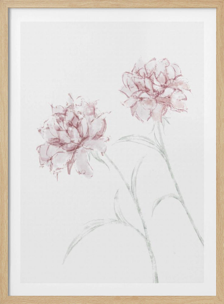 Peony 03 | Poster