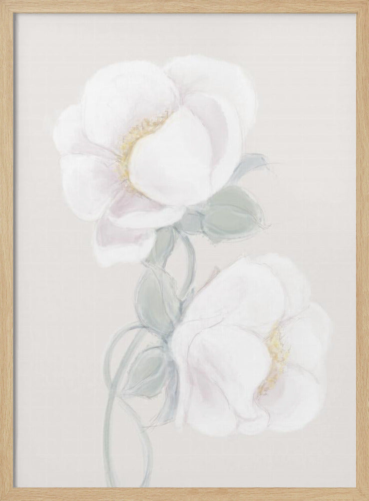 Lush Peony | Poster