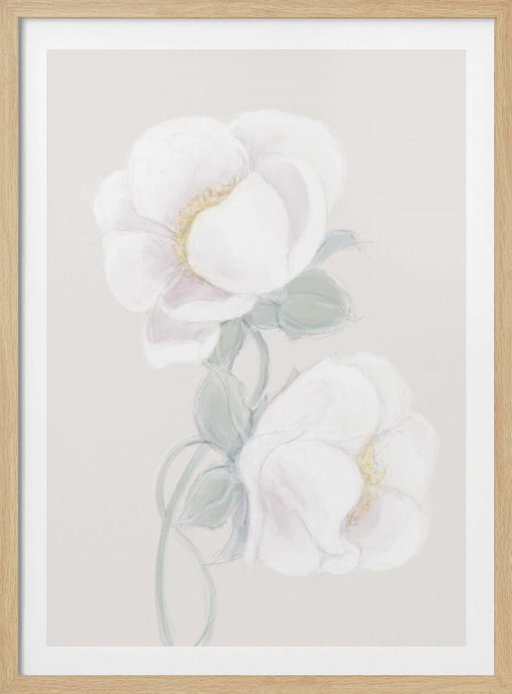 Lush Peony | Poster
