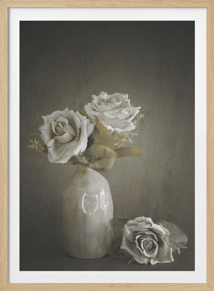 Softened | Poster