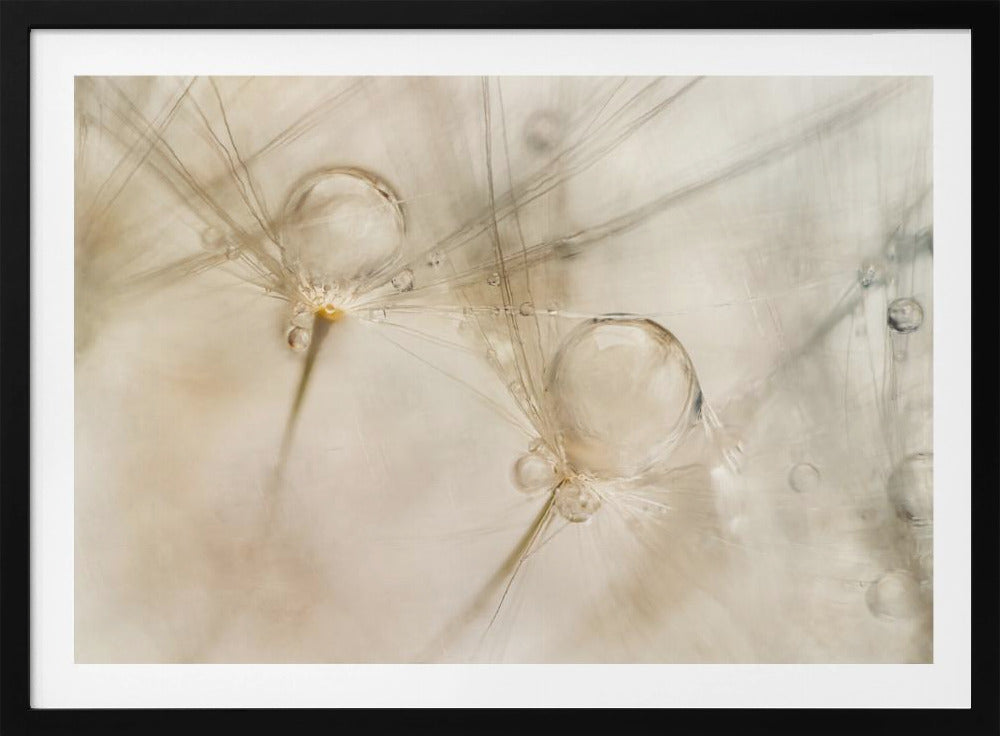 Watercolors | Poster