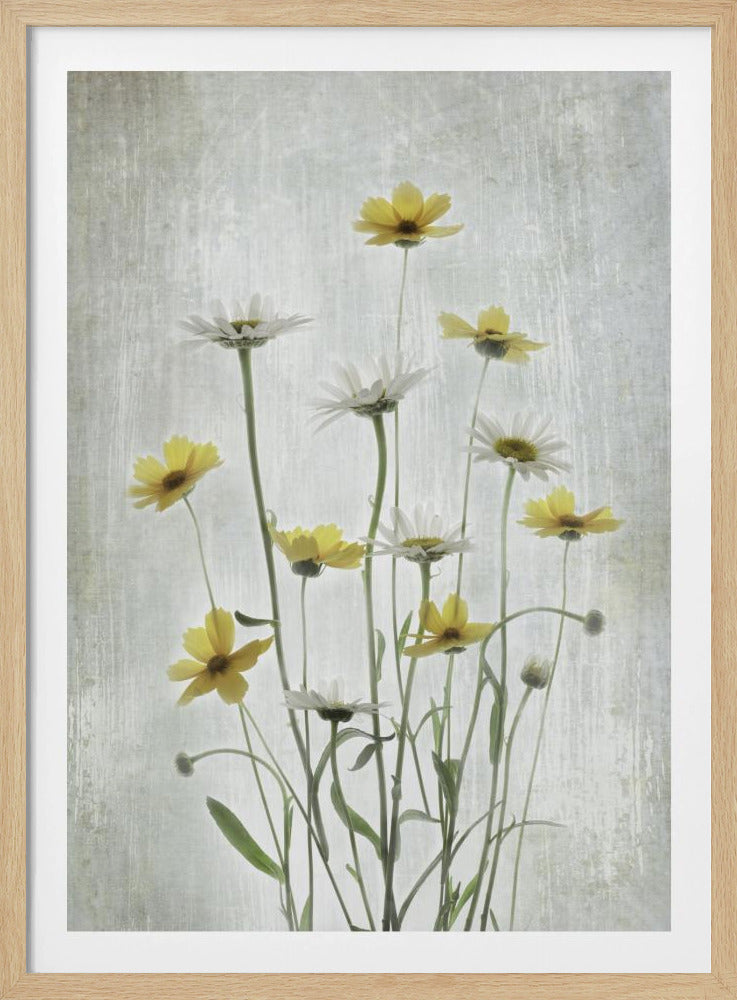 Summer Flowers | Poster