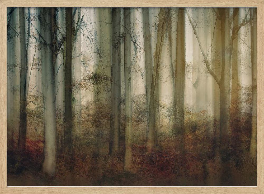 Autumn light | Poster