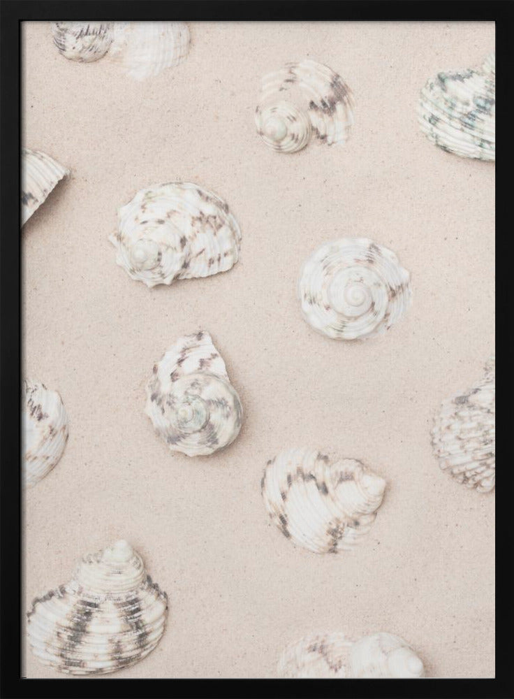 Shells_2 | Poster
