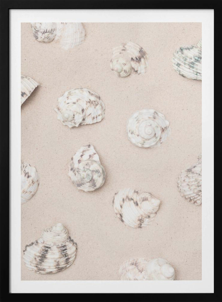 Shells_2 | Poster