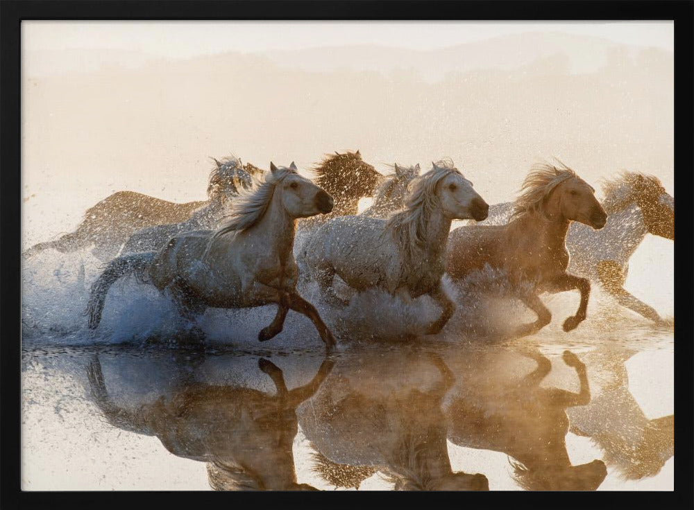Horses | Poster