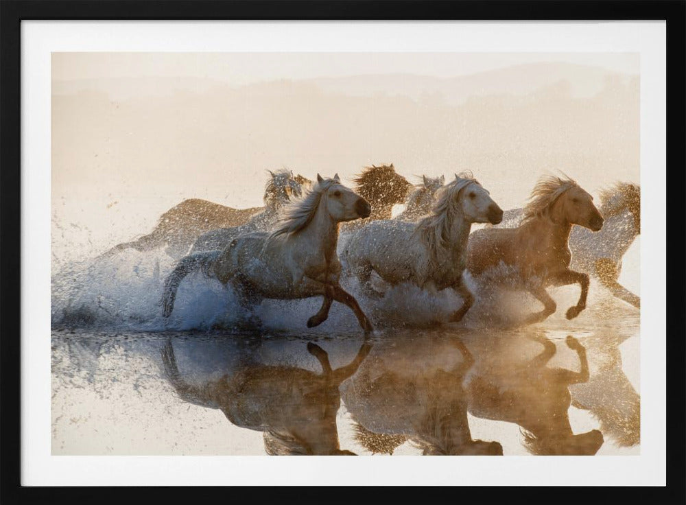 Horses | Poster