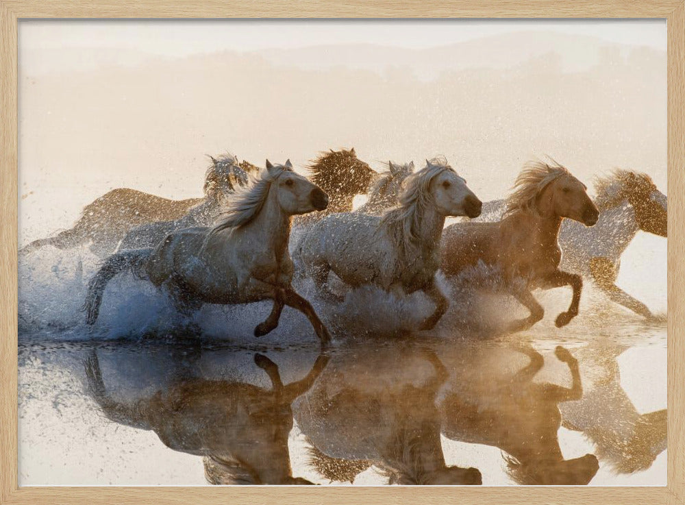 Horses | Poster