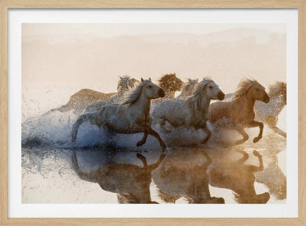 Horses | Poster