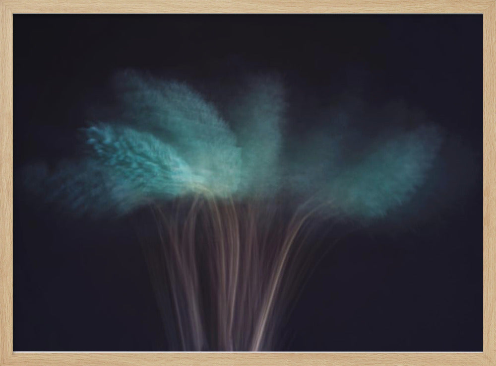 Visions in the Dark | Poster