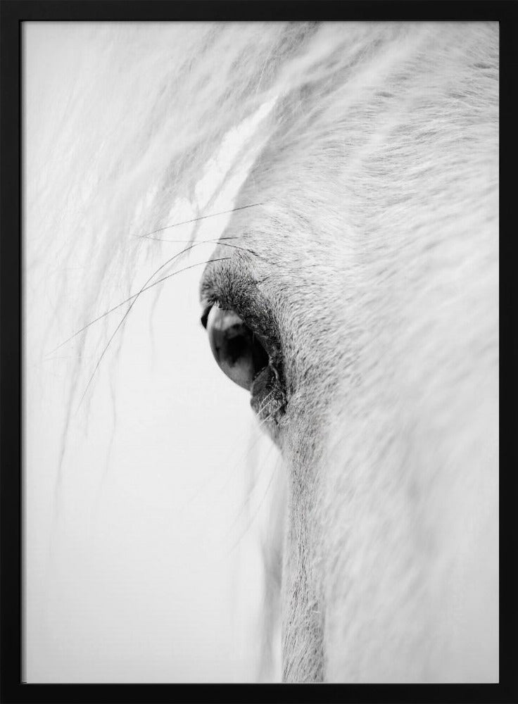 Hose eye | Poster