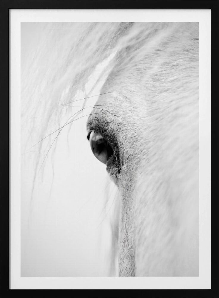 Hose eye | Poster