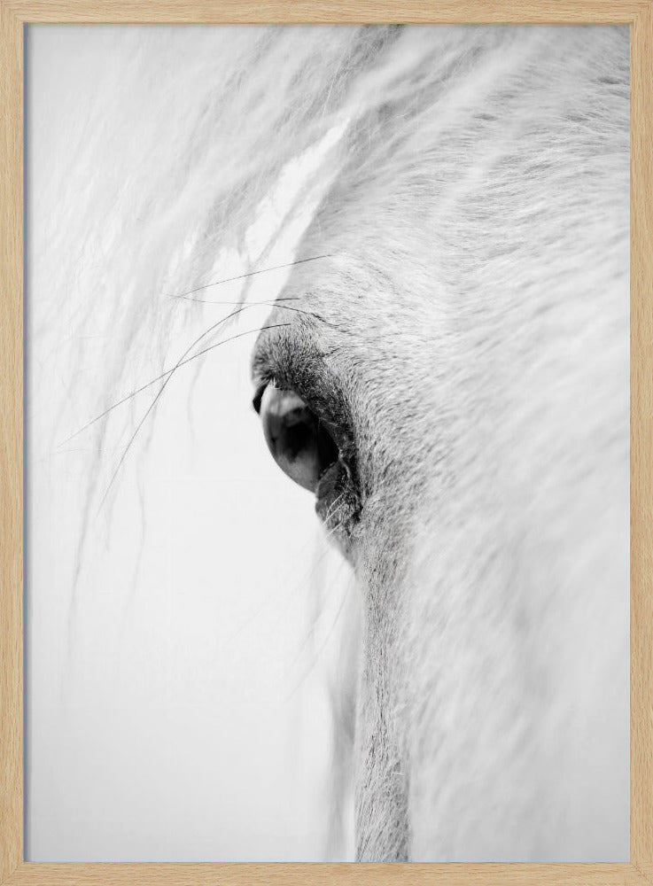 Hose eye | Poster