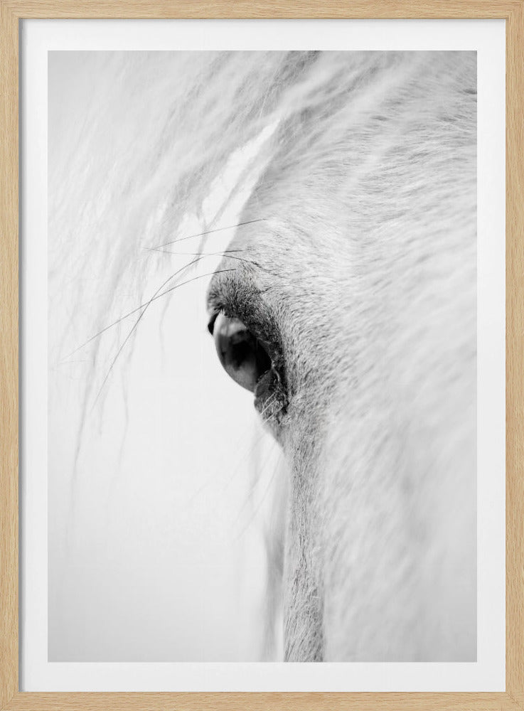 Hose eye | Poster