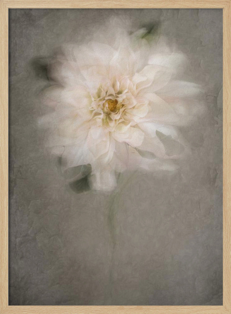 For the Bride | Poster