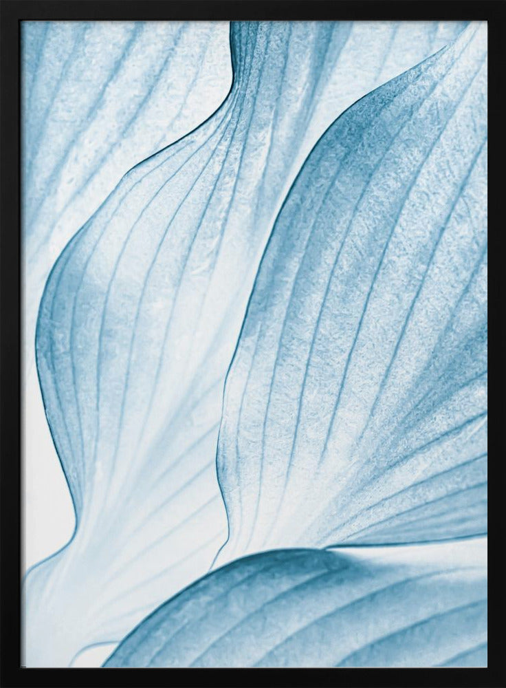 Icy Waves | Poster