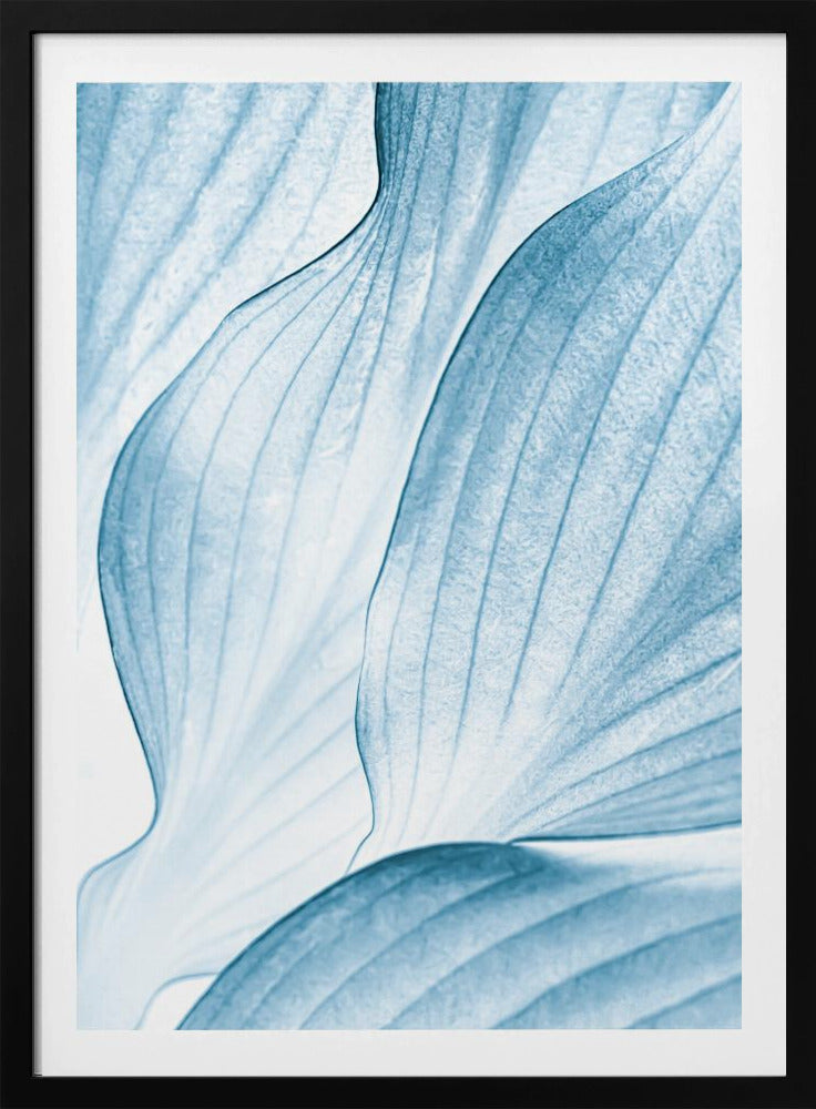 Icy Waves | Poster