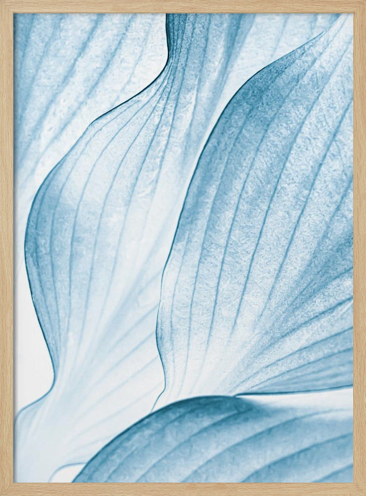 Icy Waves | Poster