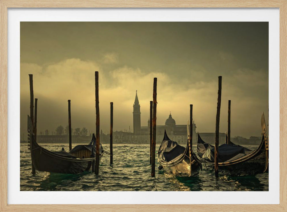 Light in the mist | Poster