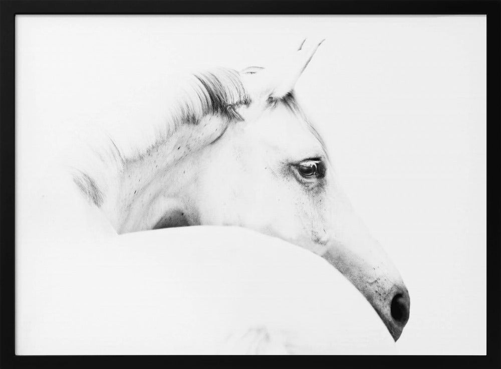 horse and minimalism | Poster