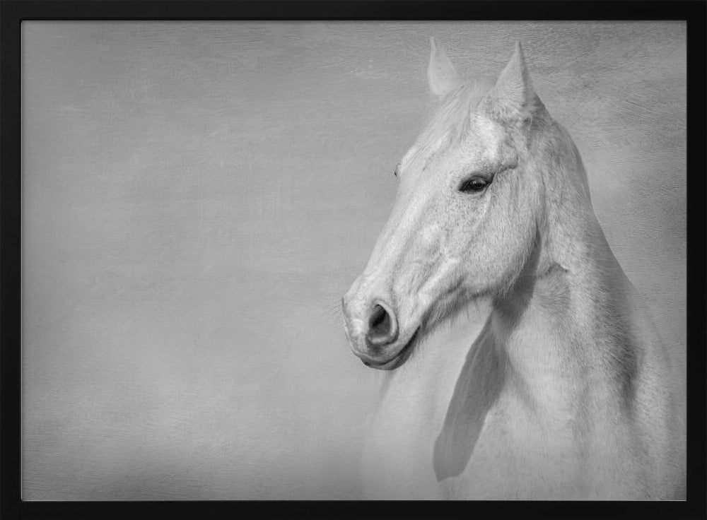The Grey Horse | Poster