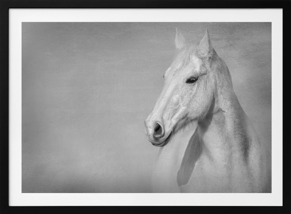 The Grey Horse | Poster
