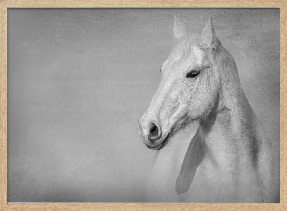 The Grey Horse | Poster