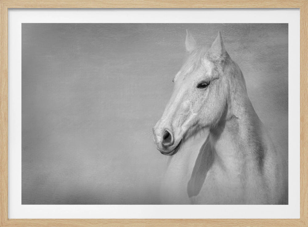 The Grey Horse | Poster