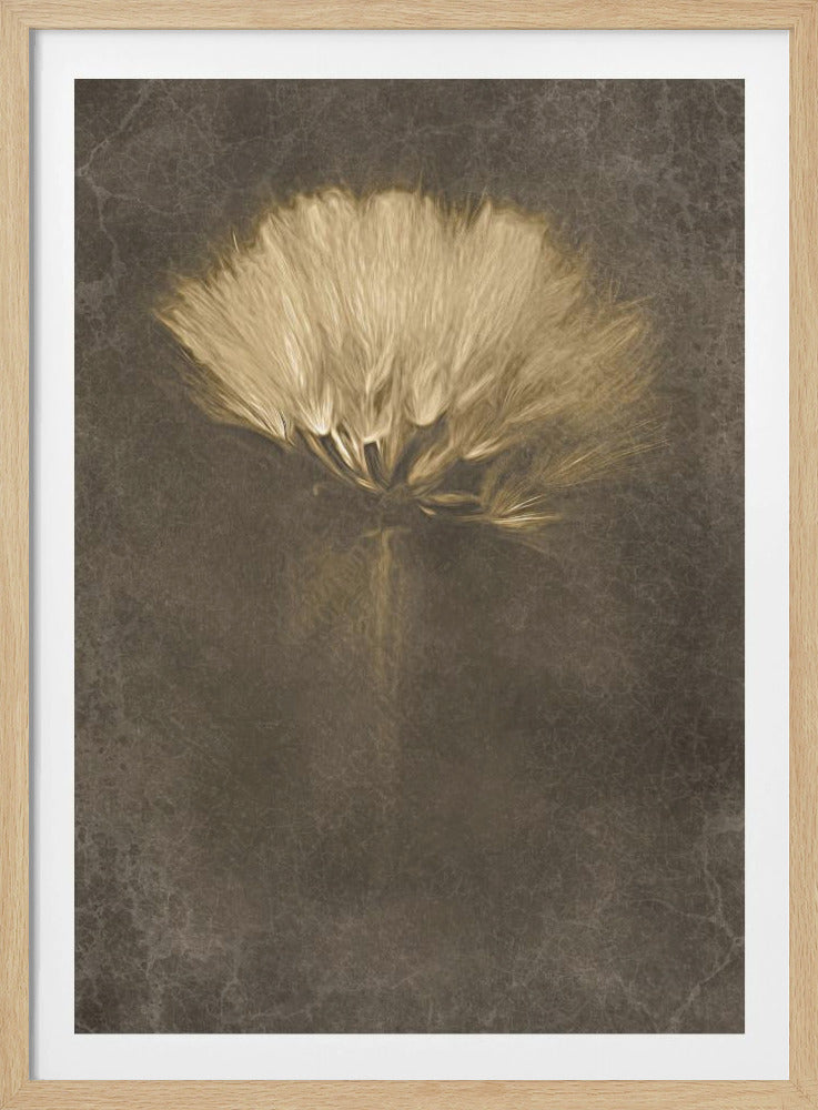 Mysterious Days | Poster