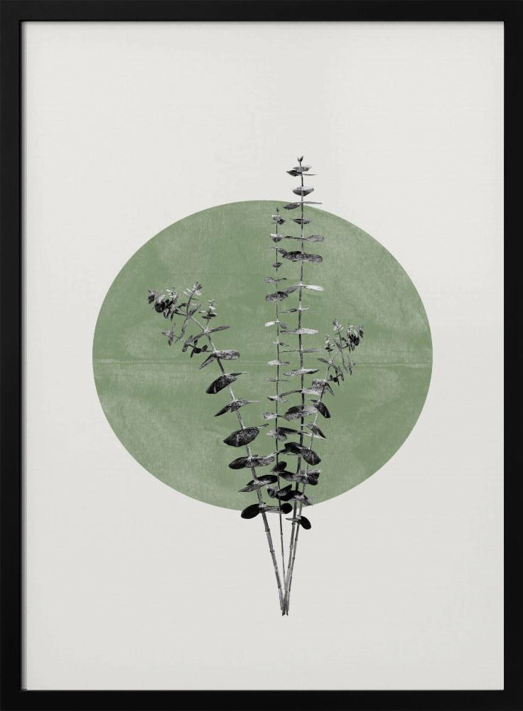 Nature's Echo | Poster