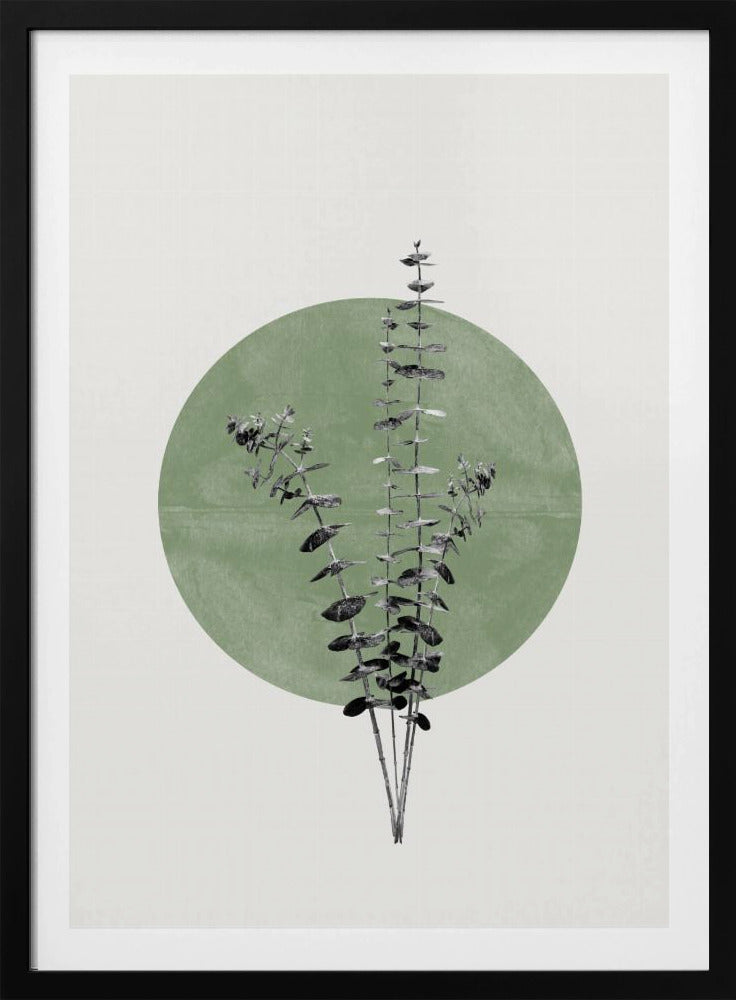 Nature's Echo | Poster