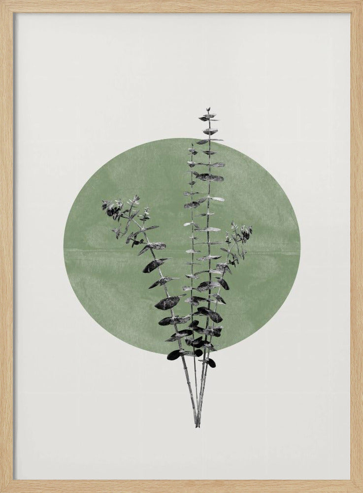 Nature's Echo | Poster