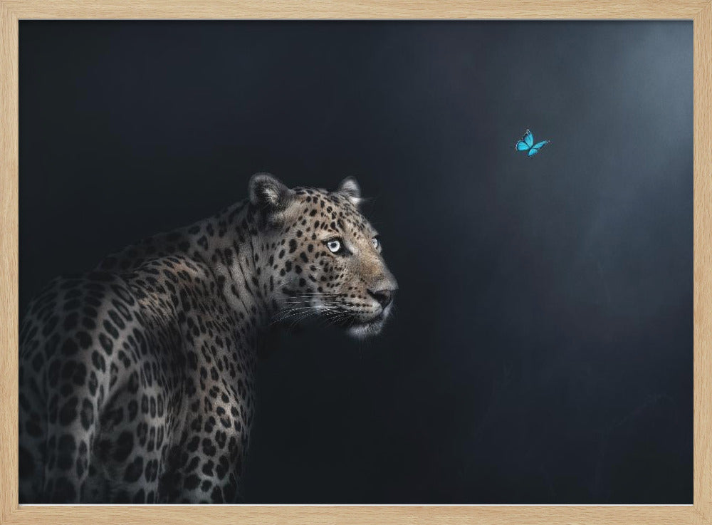 Imagination | Poster