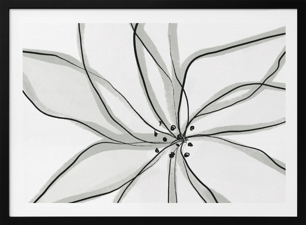 Fragile Flower | Poster