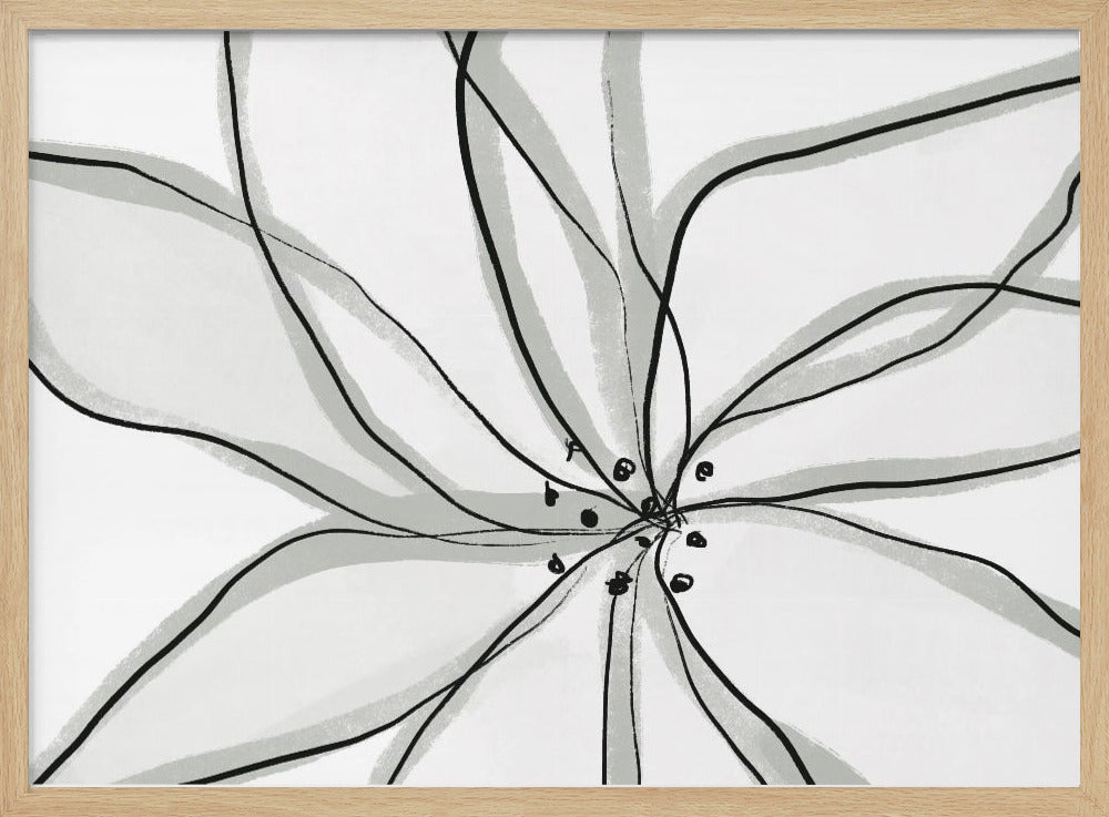 Fragile Flower | Poster