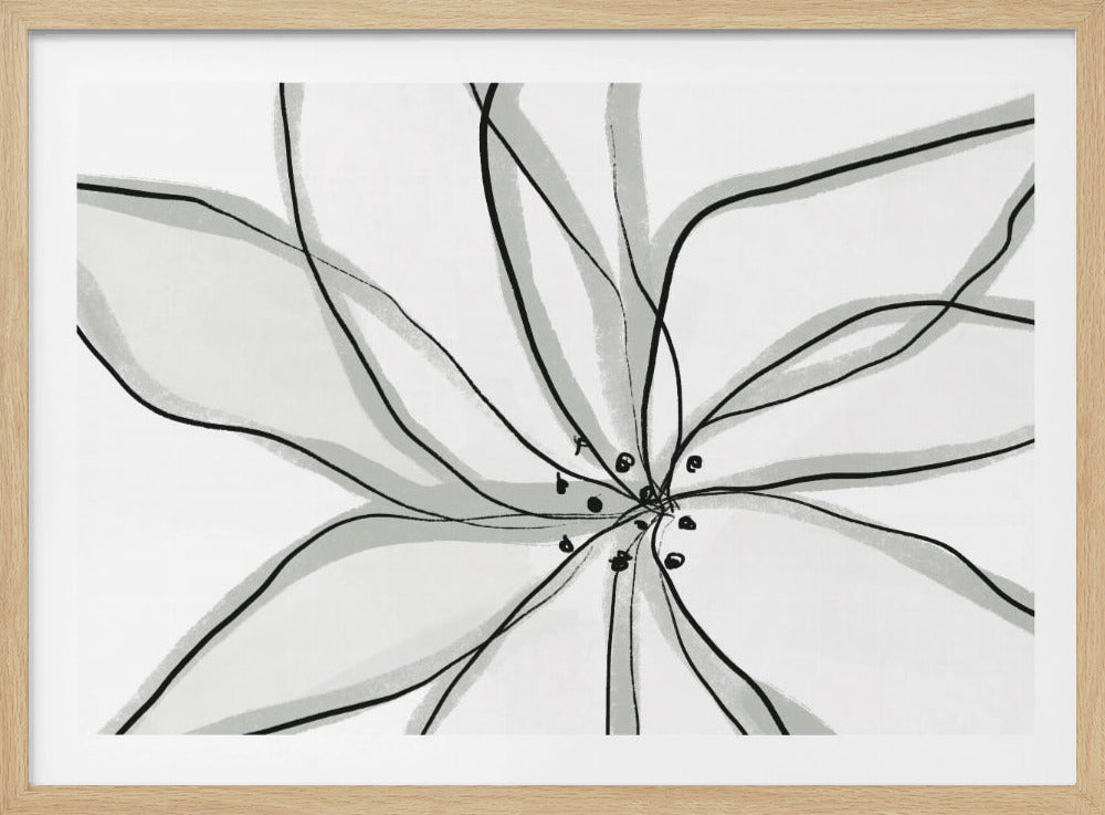 Fragile Flower | Poster