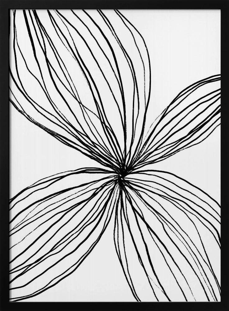 Flowing Petal Lines | Poster