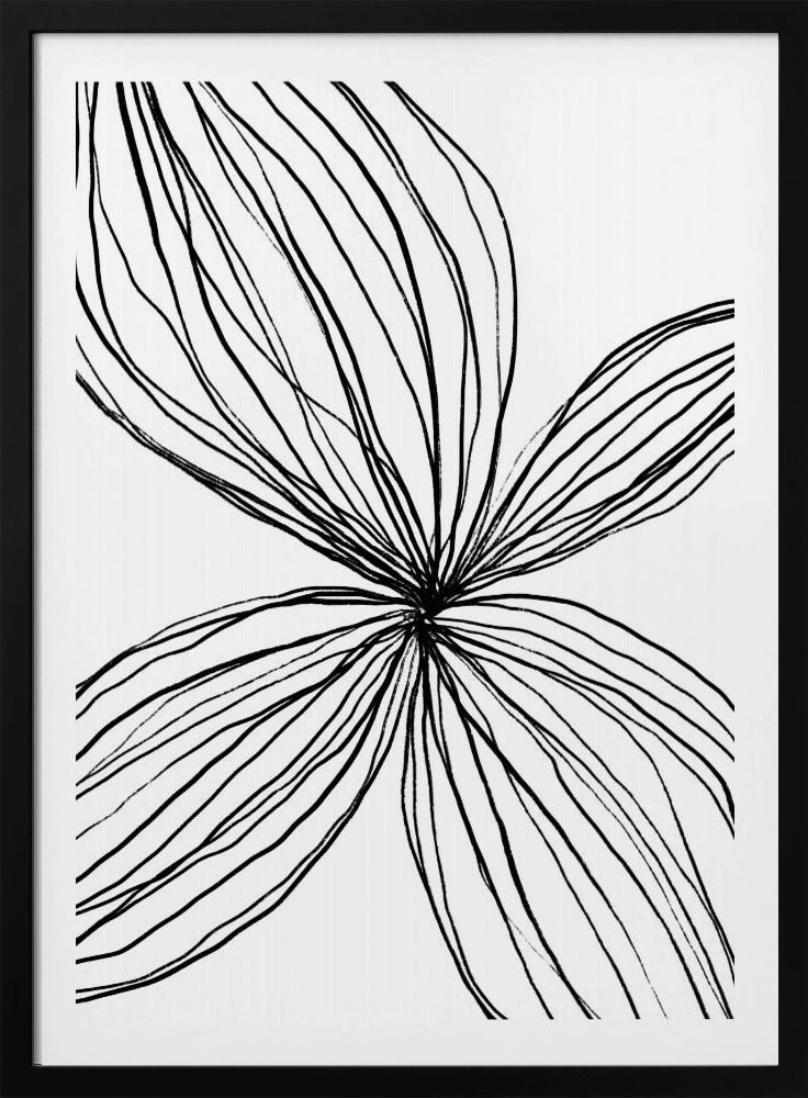 Flowing Petal Lines | Poster