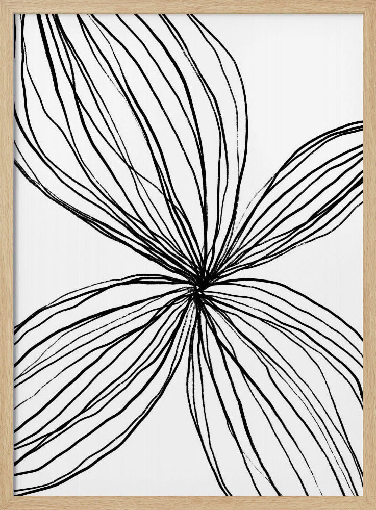Flowing Petal Lines | Poster
