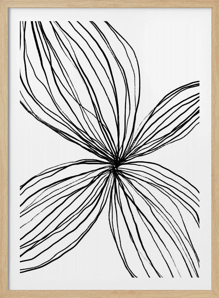 Flowing Petal Lines | Poster