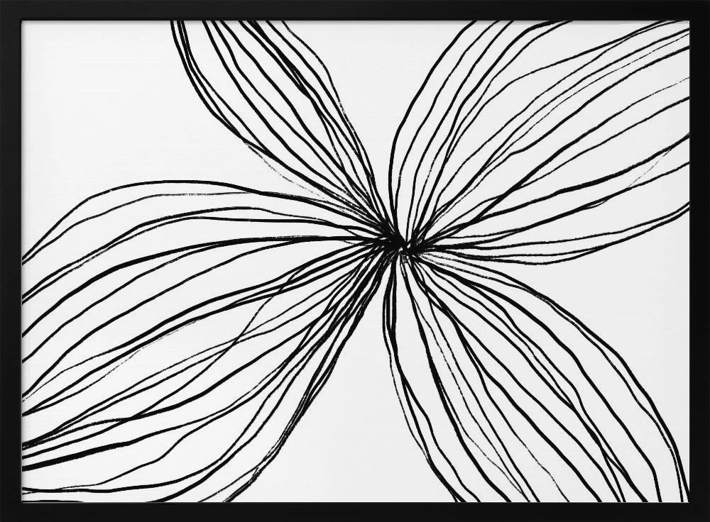 Elegant Black and White Petals | Poster