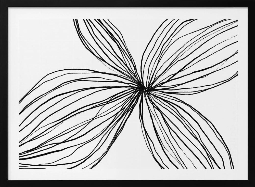 Elegant Black and White Petals | Poster