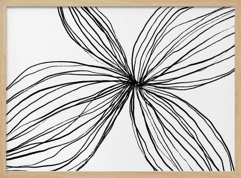 Elegant Black and White Petals | Poster