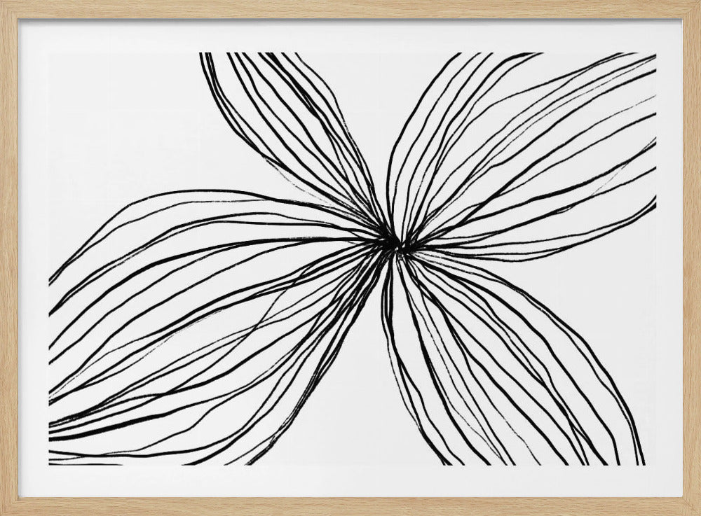Elegant Black and White Petals | Poster