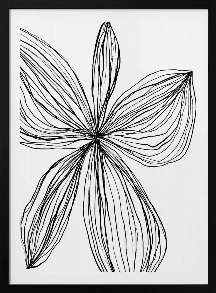 Minimalist Black and White Petals | Poster