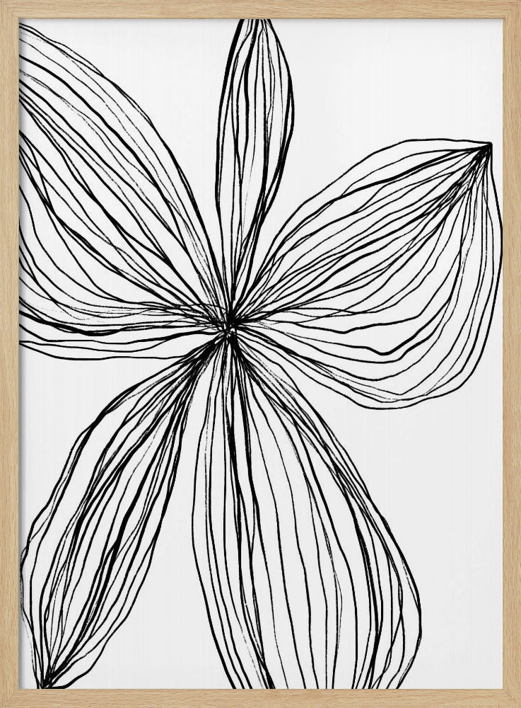 Minimalist Black and White Petals | Poster